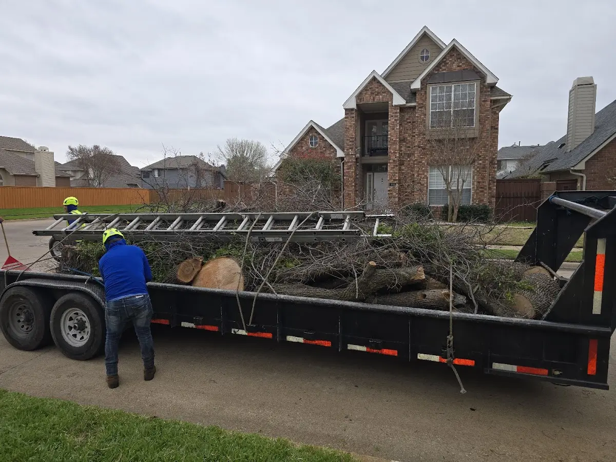 Expert Tree Fertilization with proper safety equipment in Brownton